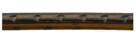   Sirex obesus  ovipositor pits; photo by H. Goulet, CNC 
